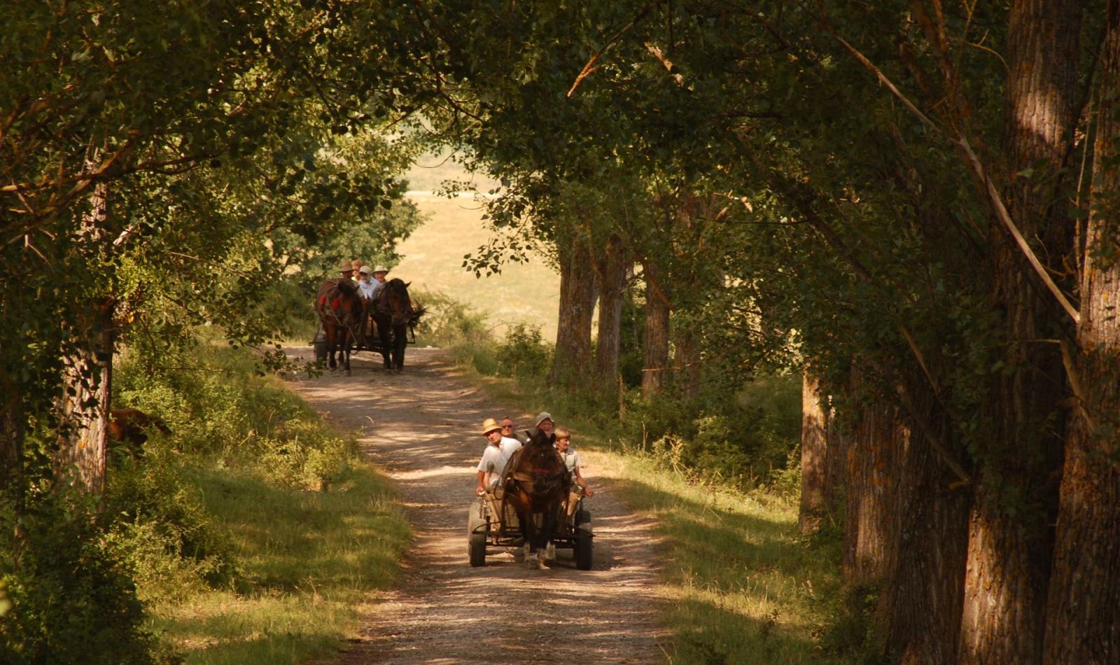 La'mme har publisert sin første Testreise