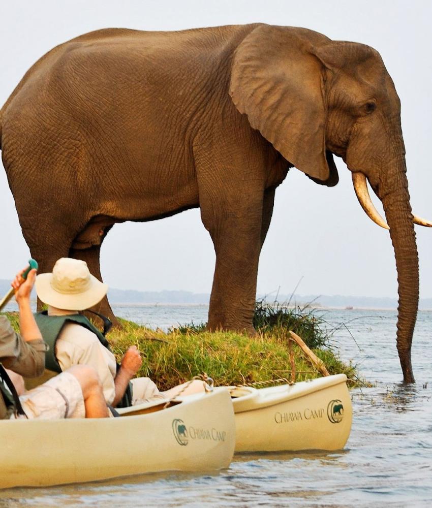 Lower Zambezi Nasjonalpark