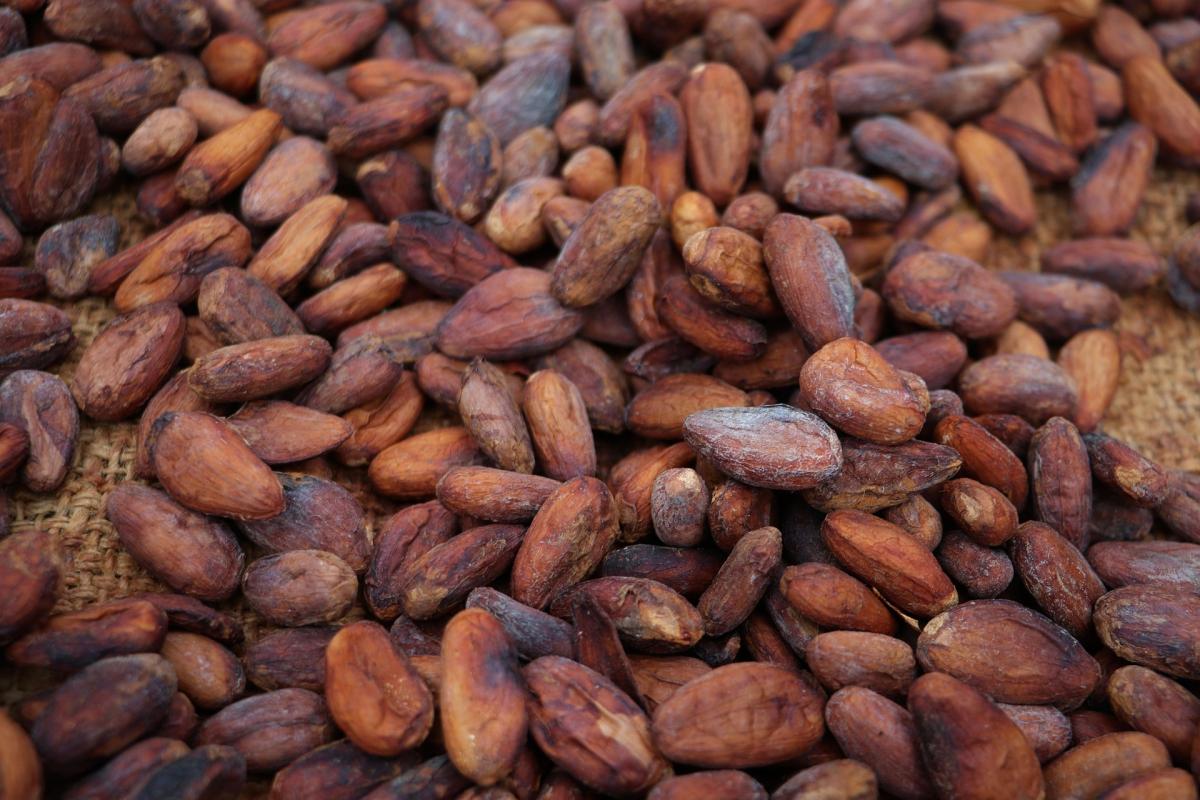      Foto:  Jens Photography - Pixabay 