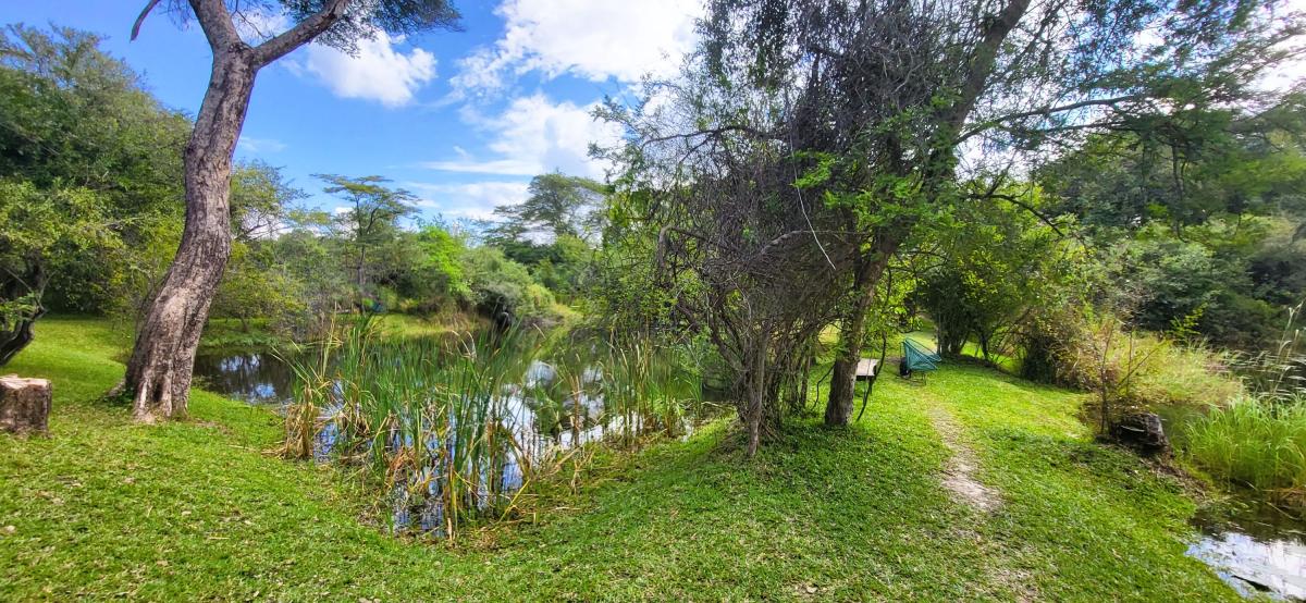 Hagen er en grønn oase på Chundukwa River Lodge  |    Foto:  La'mme 