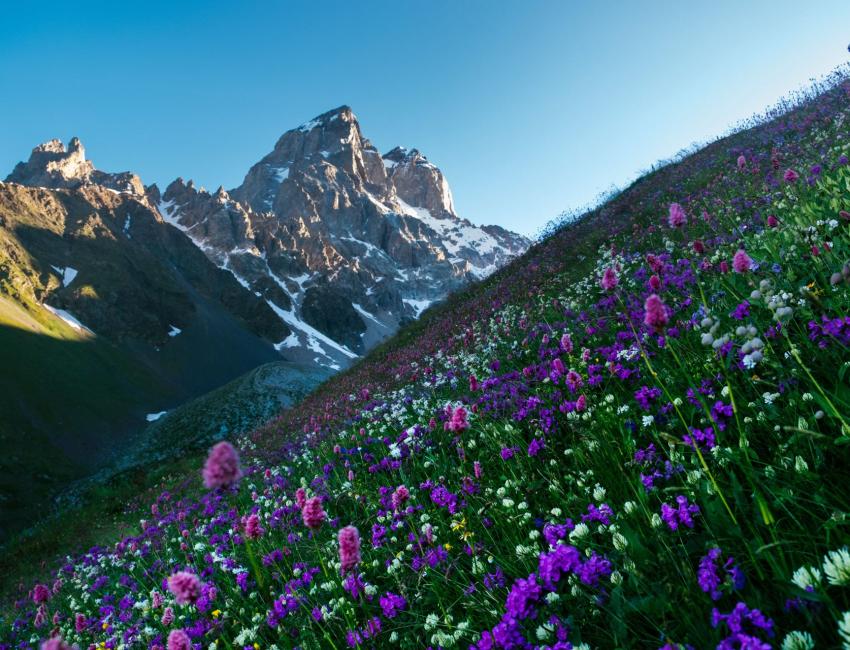 Mount Ushba - Svaneti - Kaukasus - Georgia