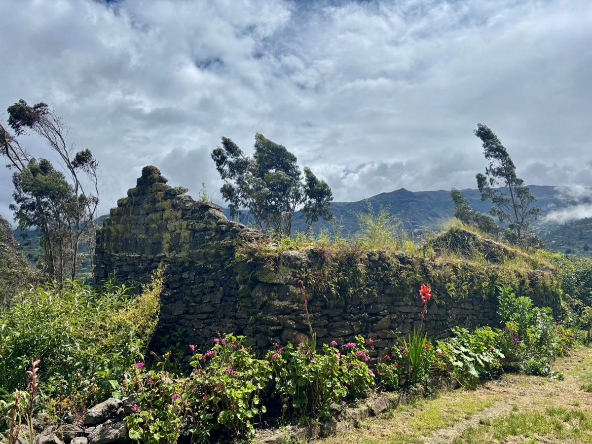 Landskap rundt Choquecancha  |    Foto:  Heather Jasper 