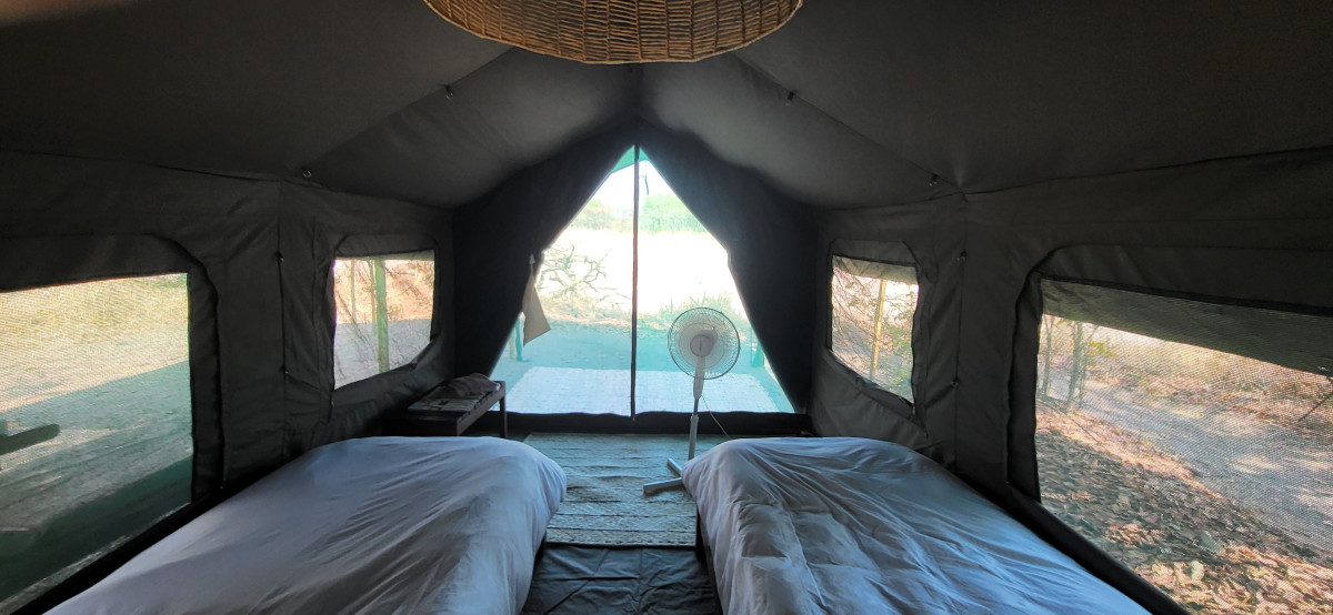 Nkonzi  |    Foto:  La'mme 