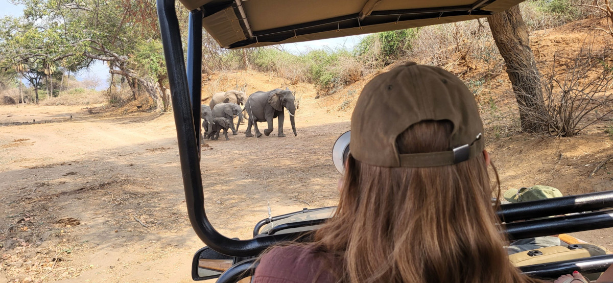 Safari i Lower Zambezi nasjonalpark   |    Foto:  Wenche - La'mme 