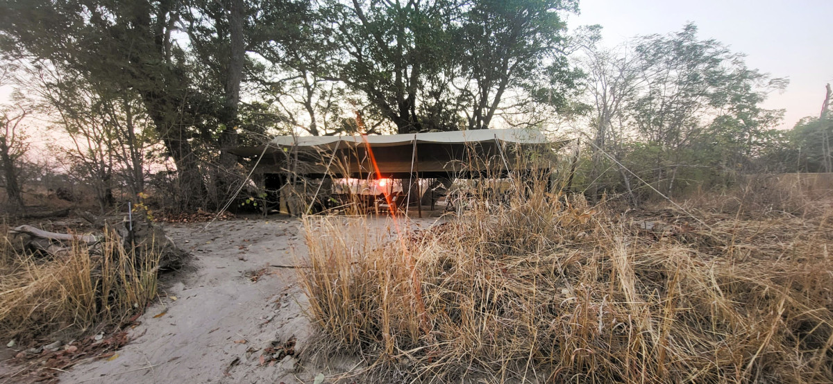 Nkonzi  |    Foto:  La'mme 