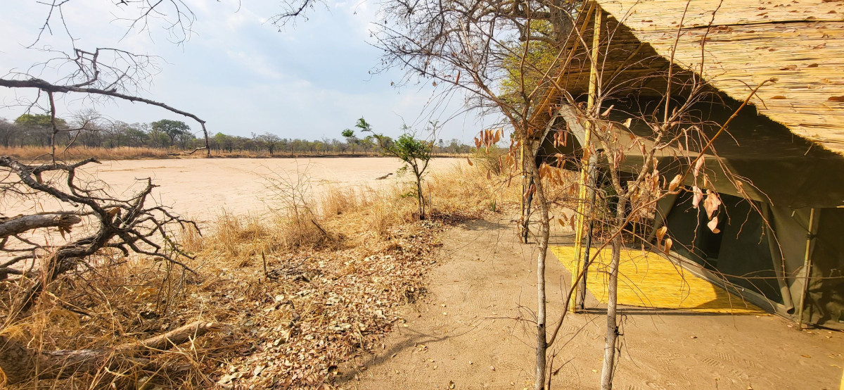 Nkonzi  |    Foto:  La'mme 