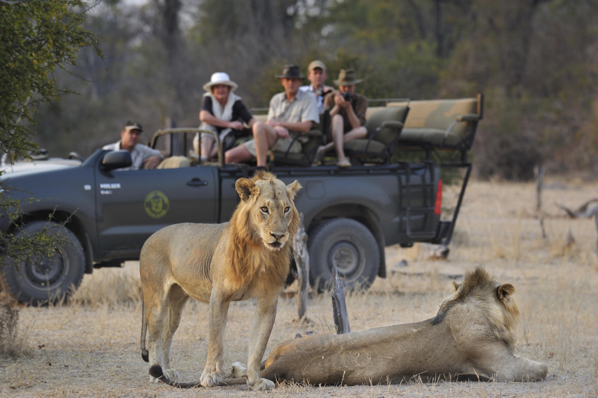 Kaingo Camp  |    Foto:  Shanton Safaris 