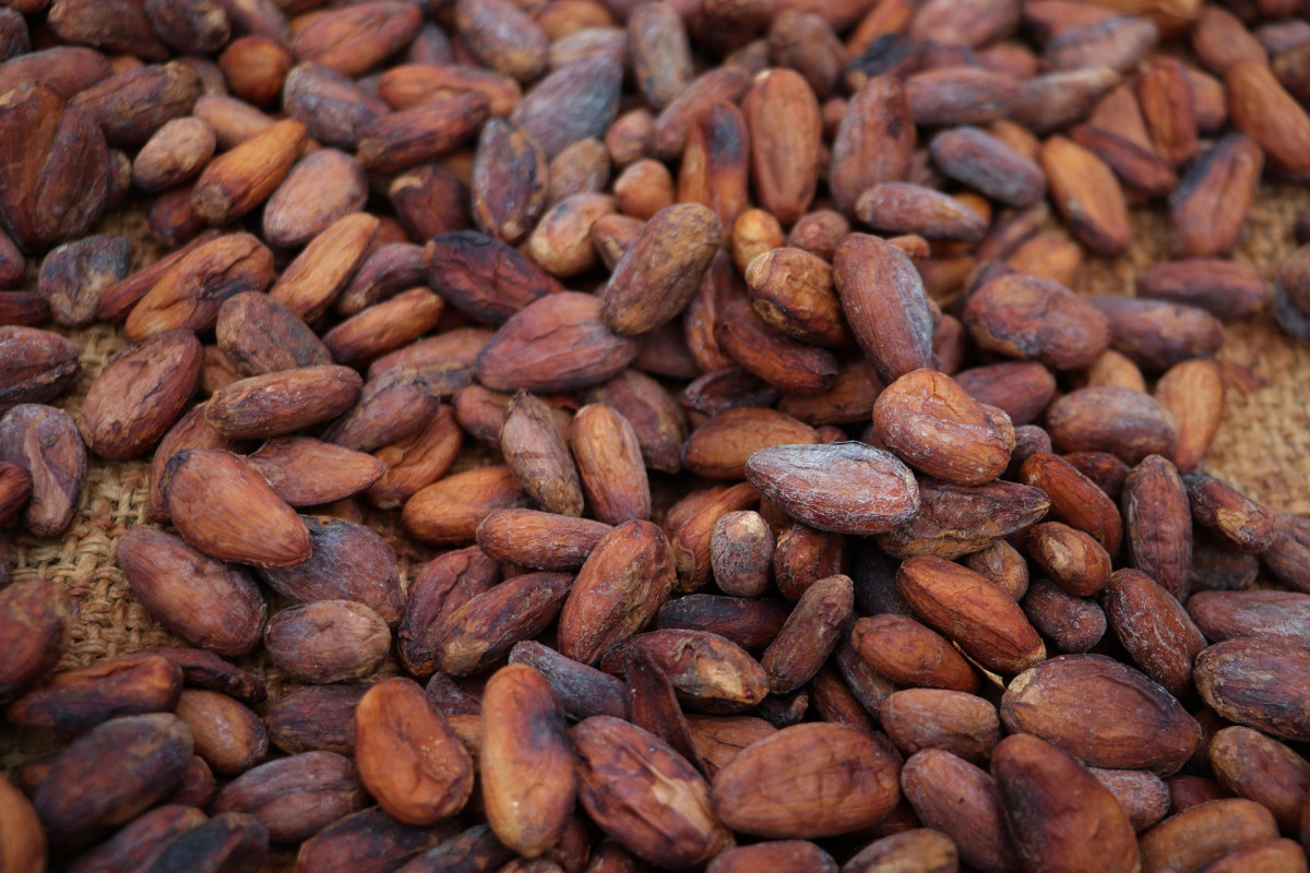      Foto:  Jens Photography - Pixabay 