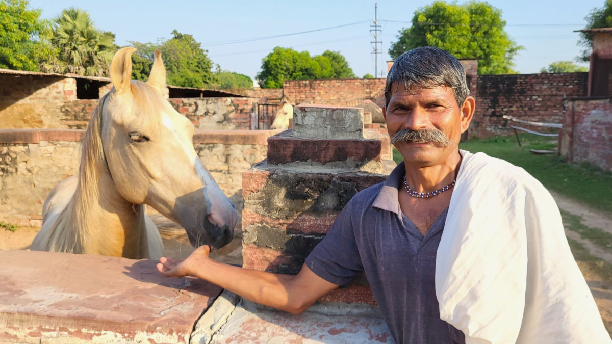     Foto:  Wenche - La'mme 