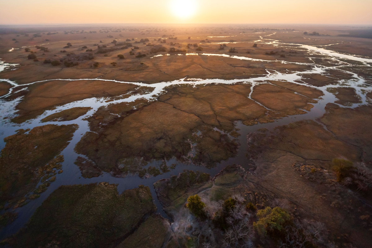 Kafue National Park  |    Foto:  Neil Aldridge - Istock 