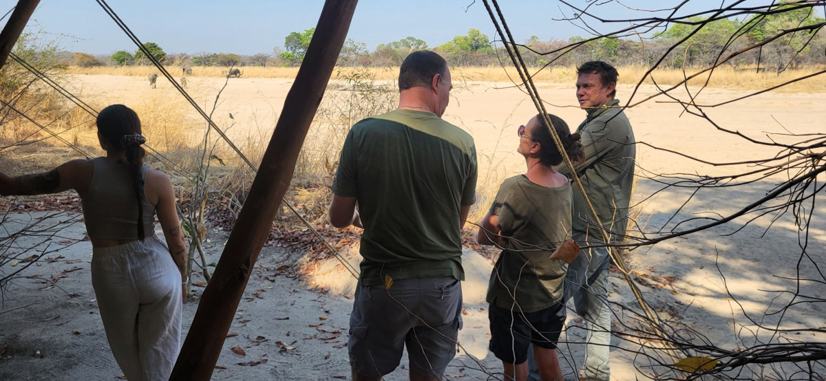 Nkonzi  |    Foto:  La'mme 