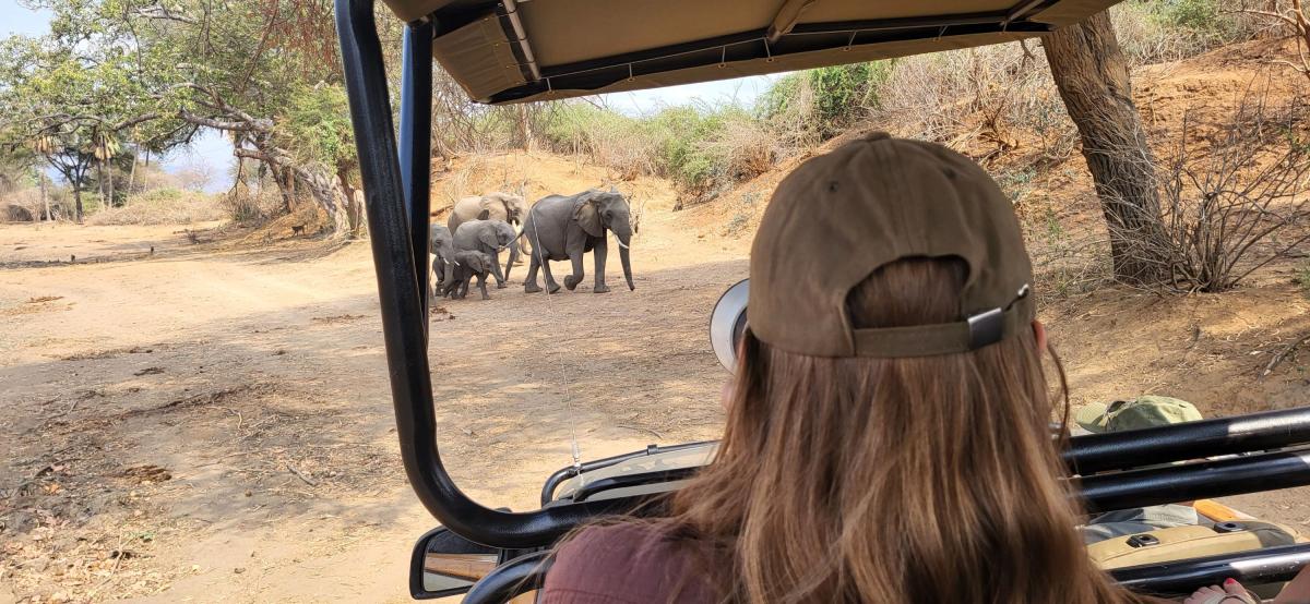 Game drive Lower Zambezi  |    Foto:  Wenche Tvenge - La'mme 