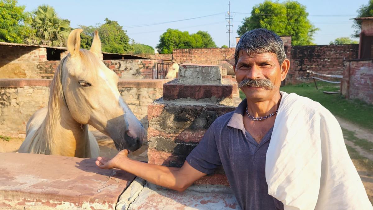     Foto:  Wenche - La'mme 