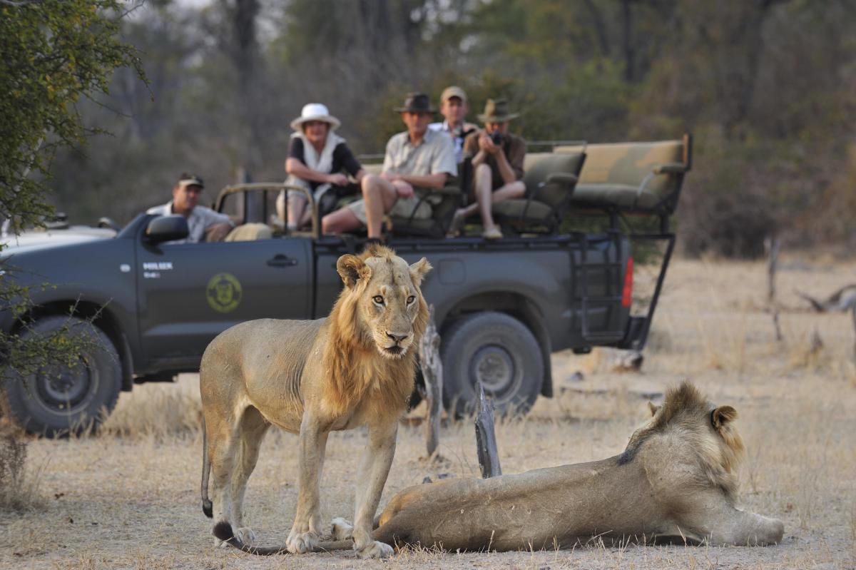 Kaingo Camp  |    Foto:  Shanton Safaris 