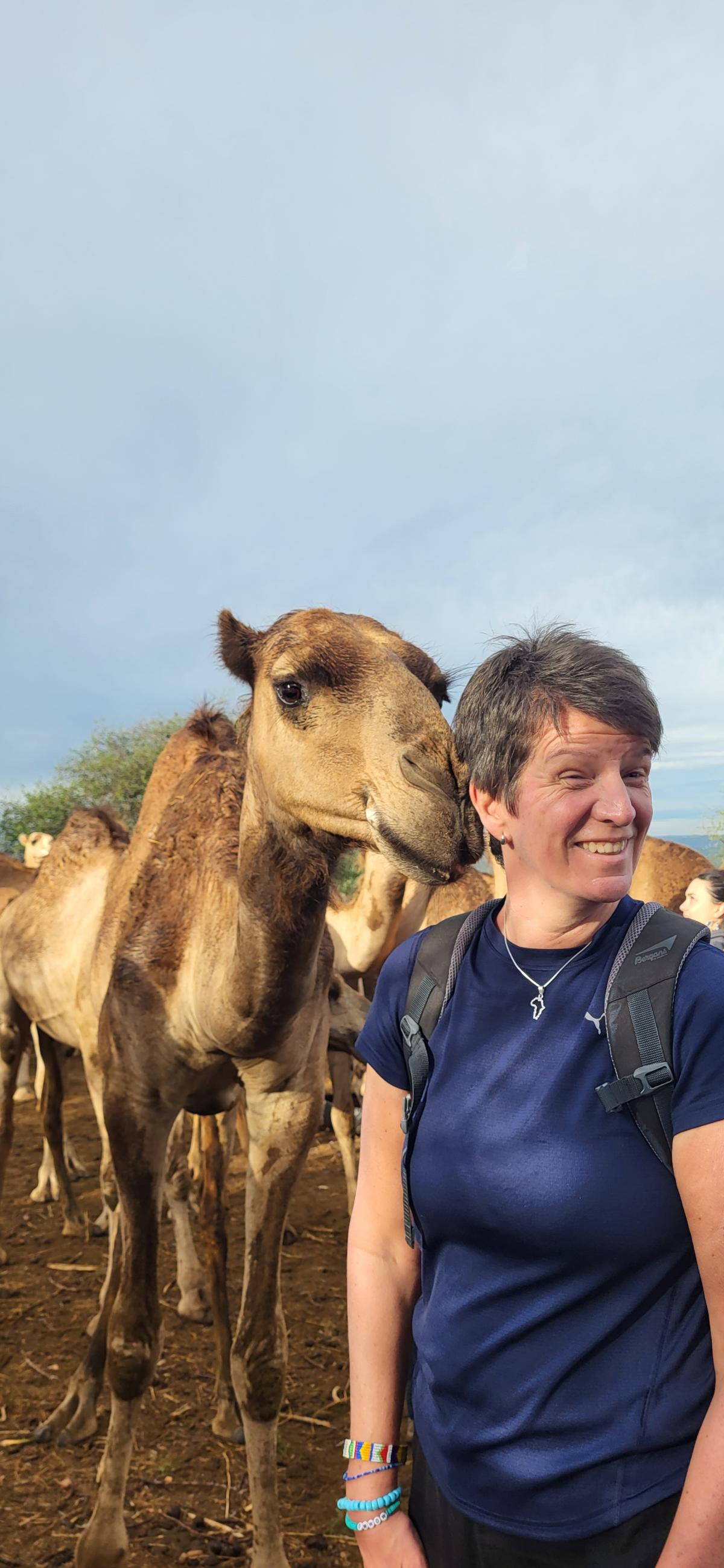 Kamel-flørt i Laikipia - Kenya