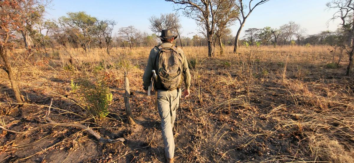 Nkonzi - vandresafari  |    Foto:  La'mme 