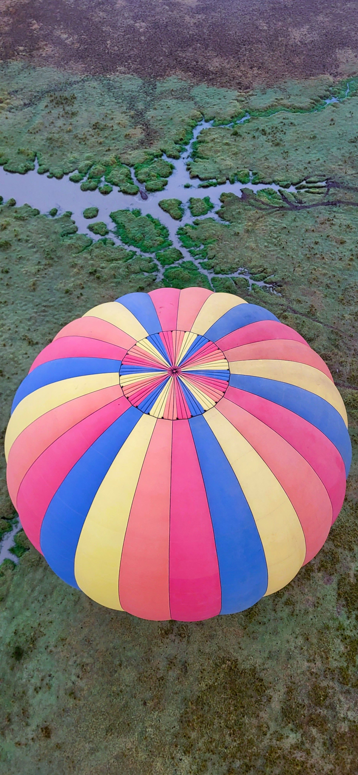 Ballongferd Masai Mara i lavt skydekke