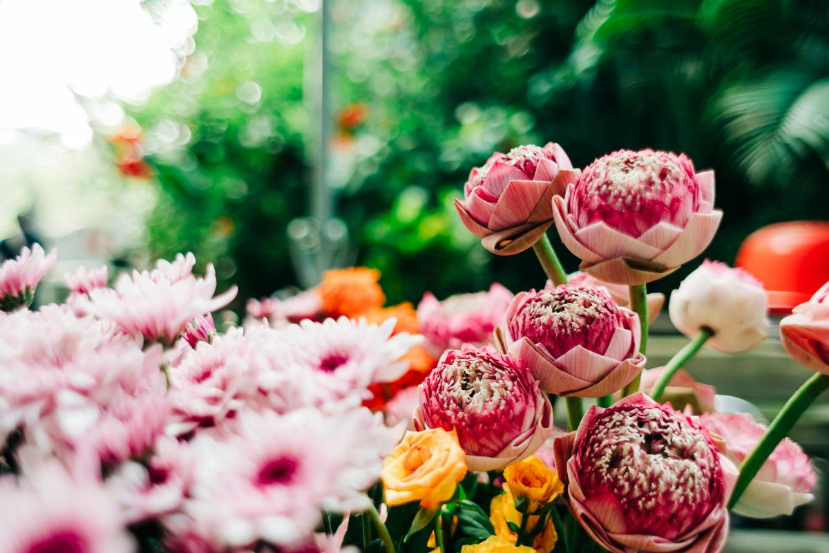 Flowers in market Hanoi old quarter - Vietnam   |    Foto:  Lefteris Heretakis - Unsplash 