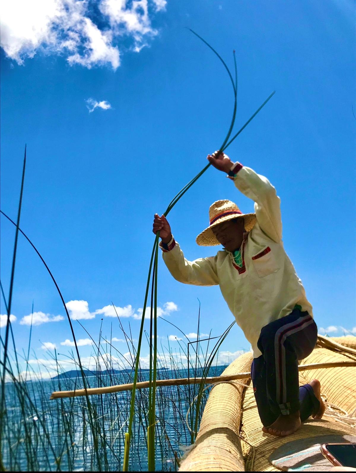      Foto:  Amantica Lodge 