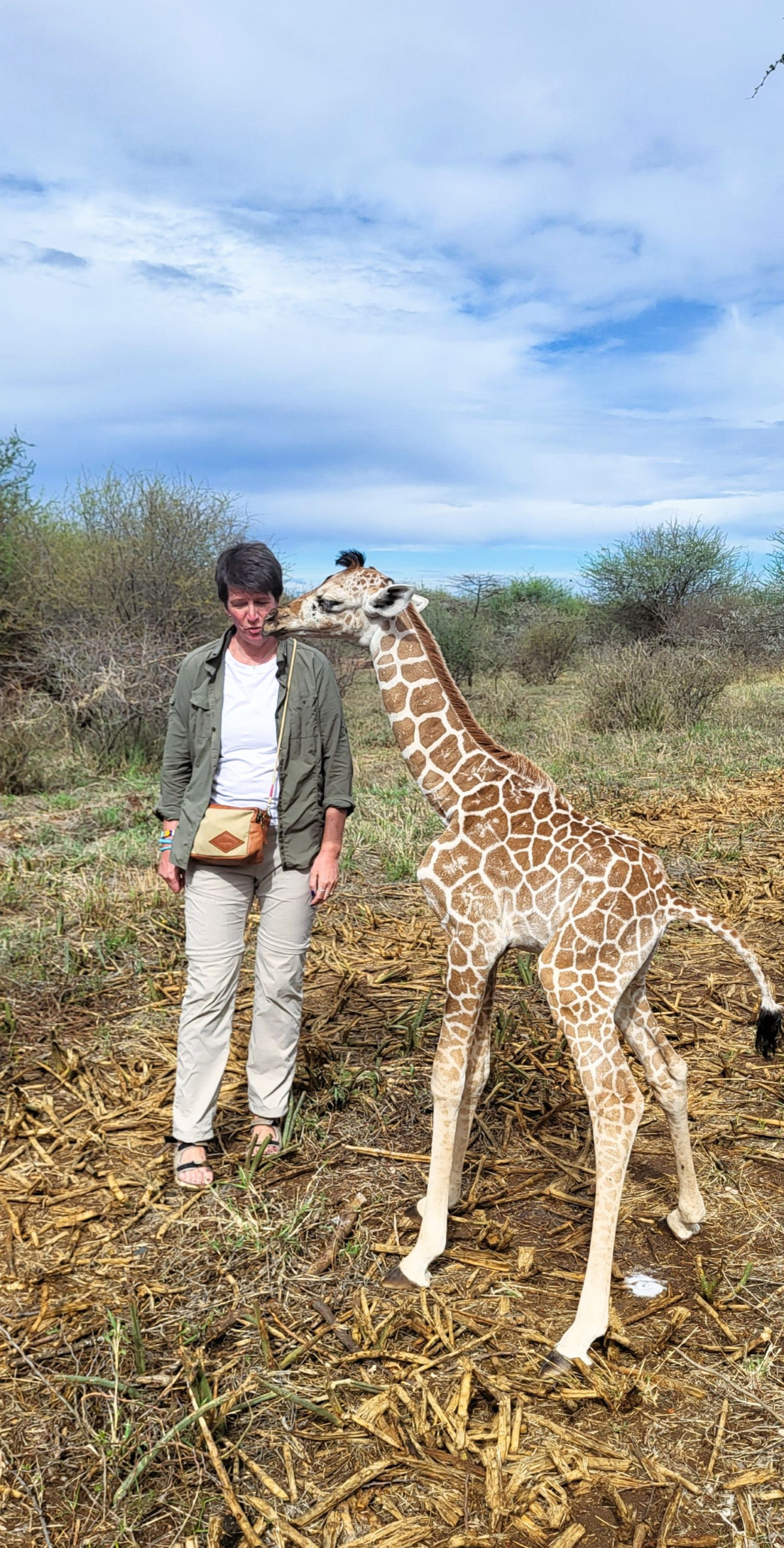 Mama Twiga møter baby-twiga  |    Foto:  Wenche Skeie Tvenge - La'mme 