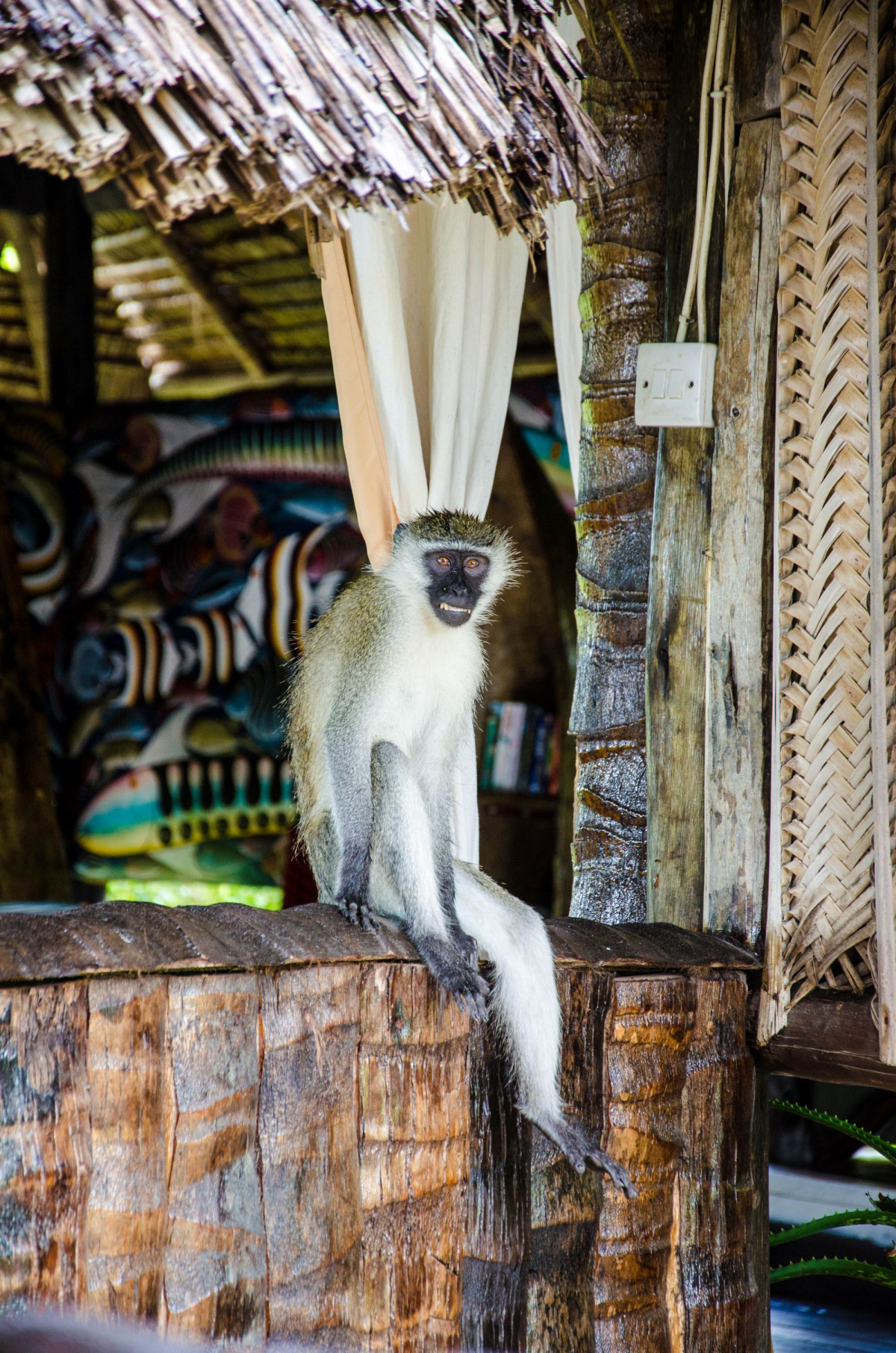     Foto:  Simply Saadani Camp 