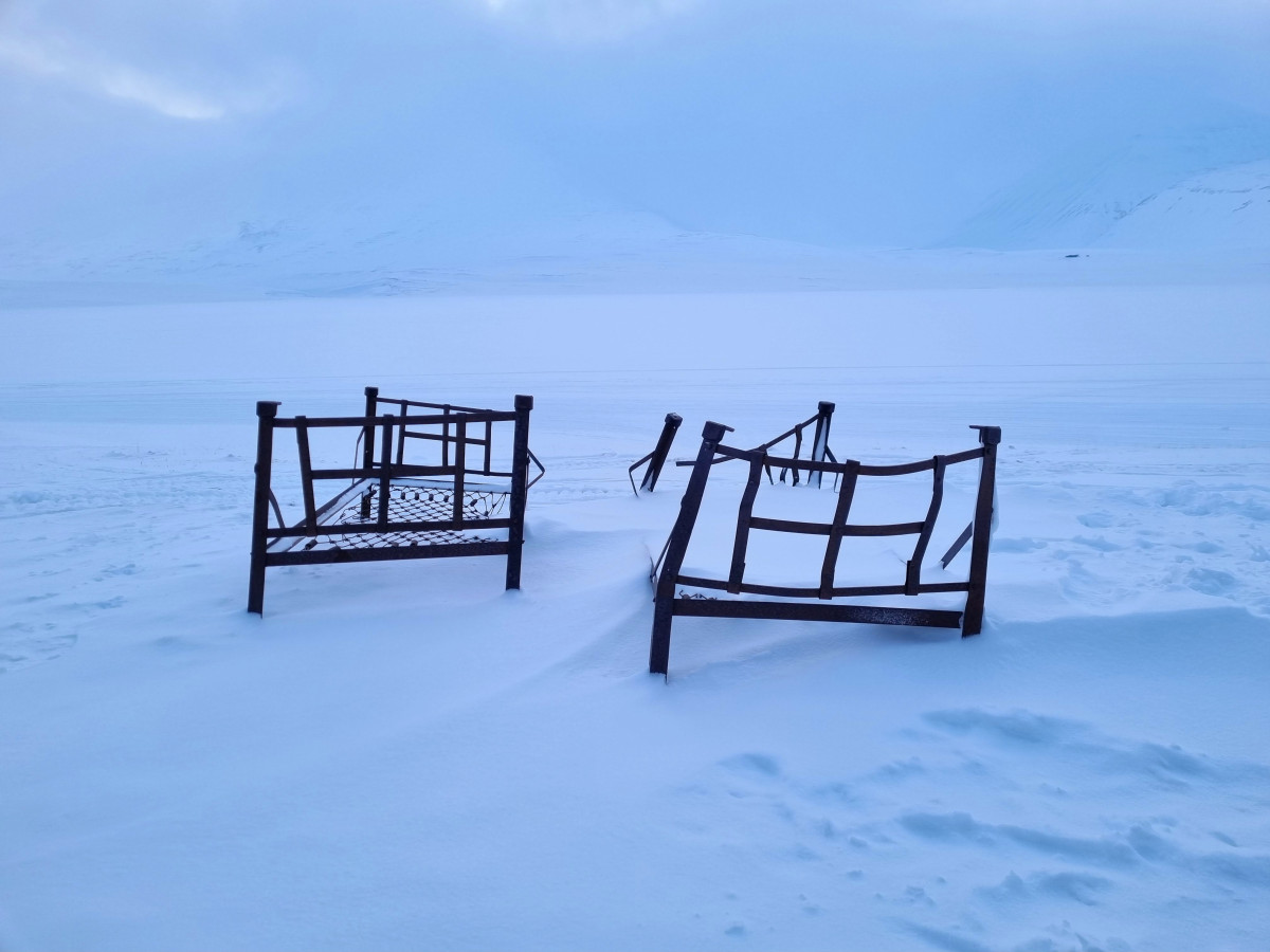     Foto:  Svalbard jernsengene - Line  | La'mme skreddersyr 