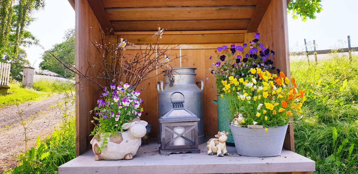 Litt stemning langs pilegrimsleden
