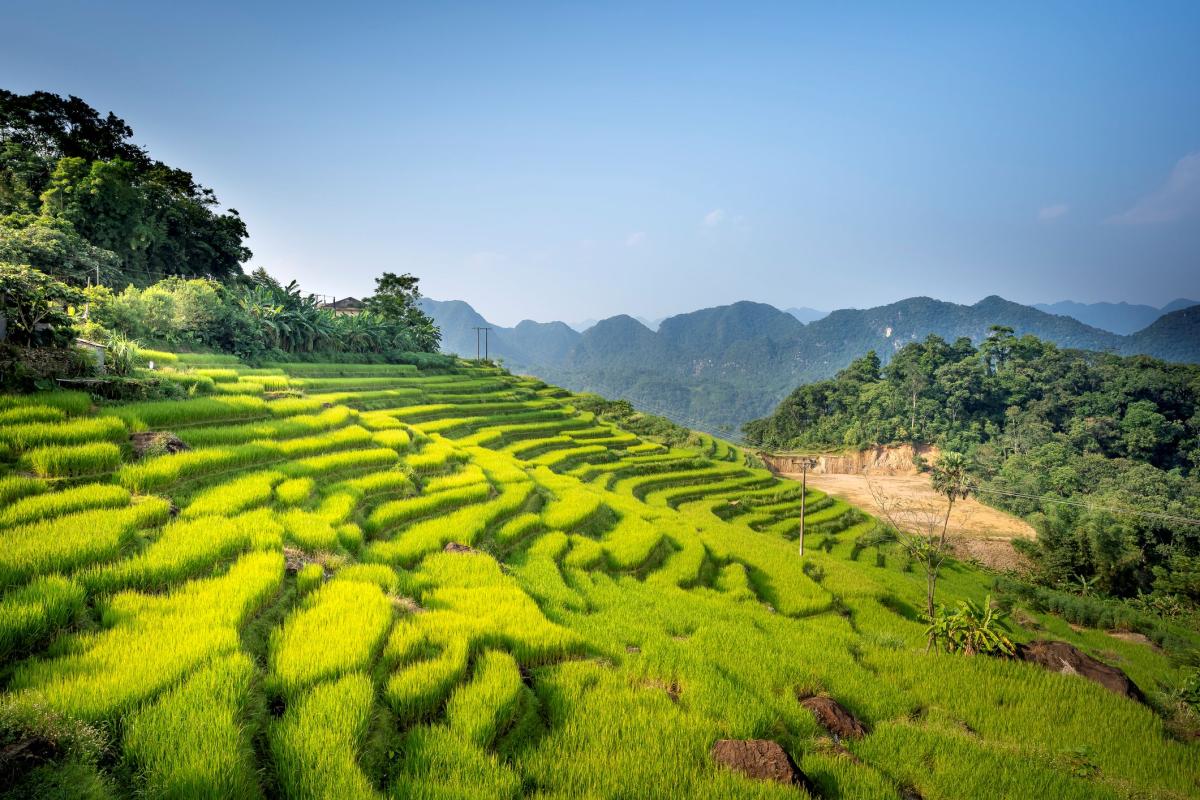 Pu Luong rice terraces and mountains -Vietnam   |    Foto:  Quang Praha - Istock 