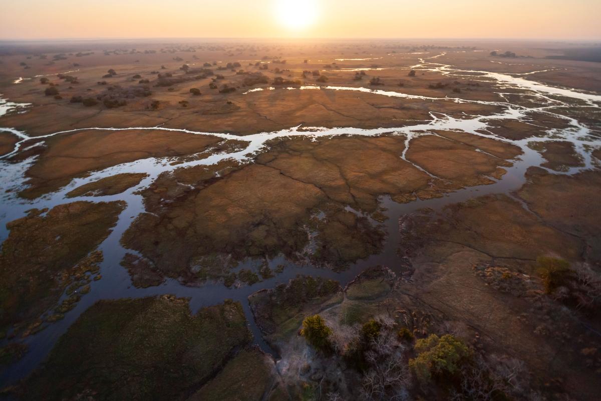 Kafue National Park  |    Foto:  Neil Aldridge - Istock 