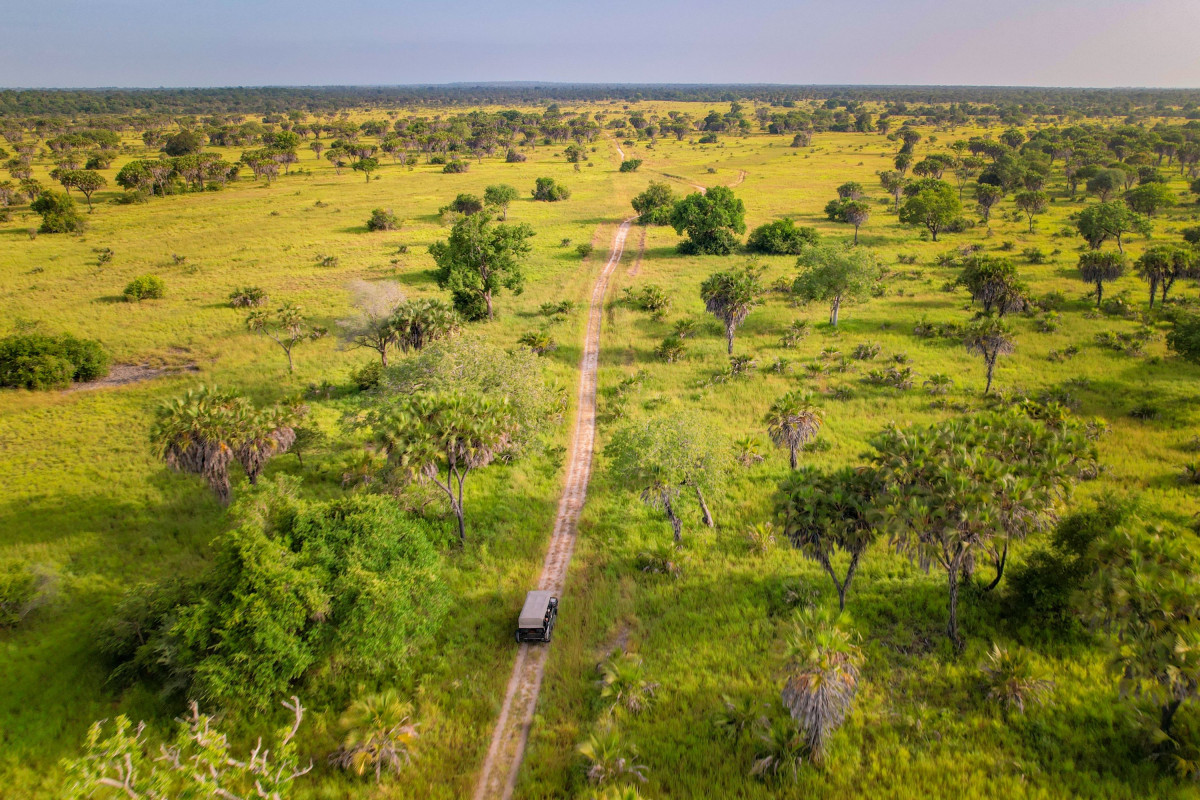     Foto:  Simply Saadani Camp 