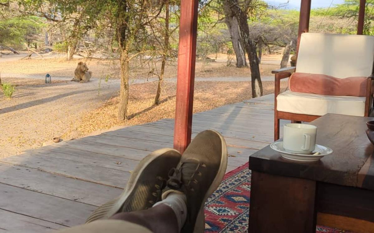 Forbindelser - Tanzania & Hadeland