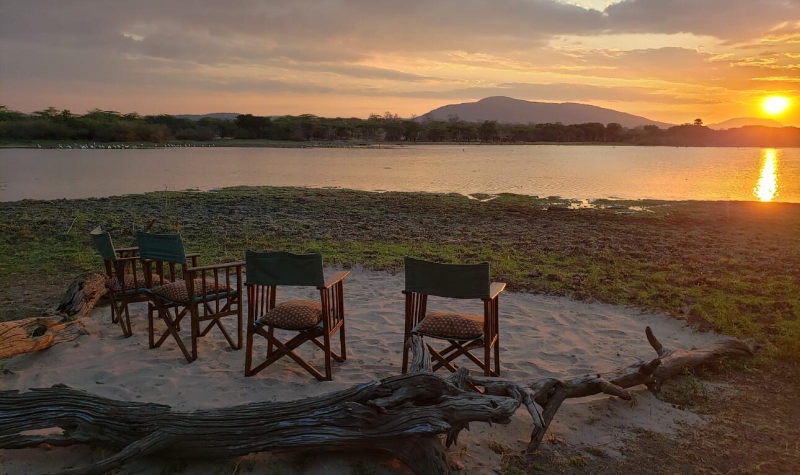 En dag i bushen – Makubi Safari Camp