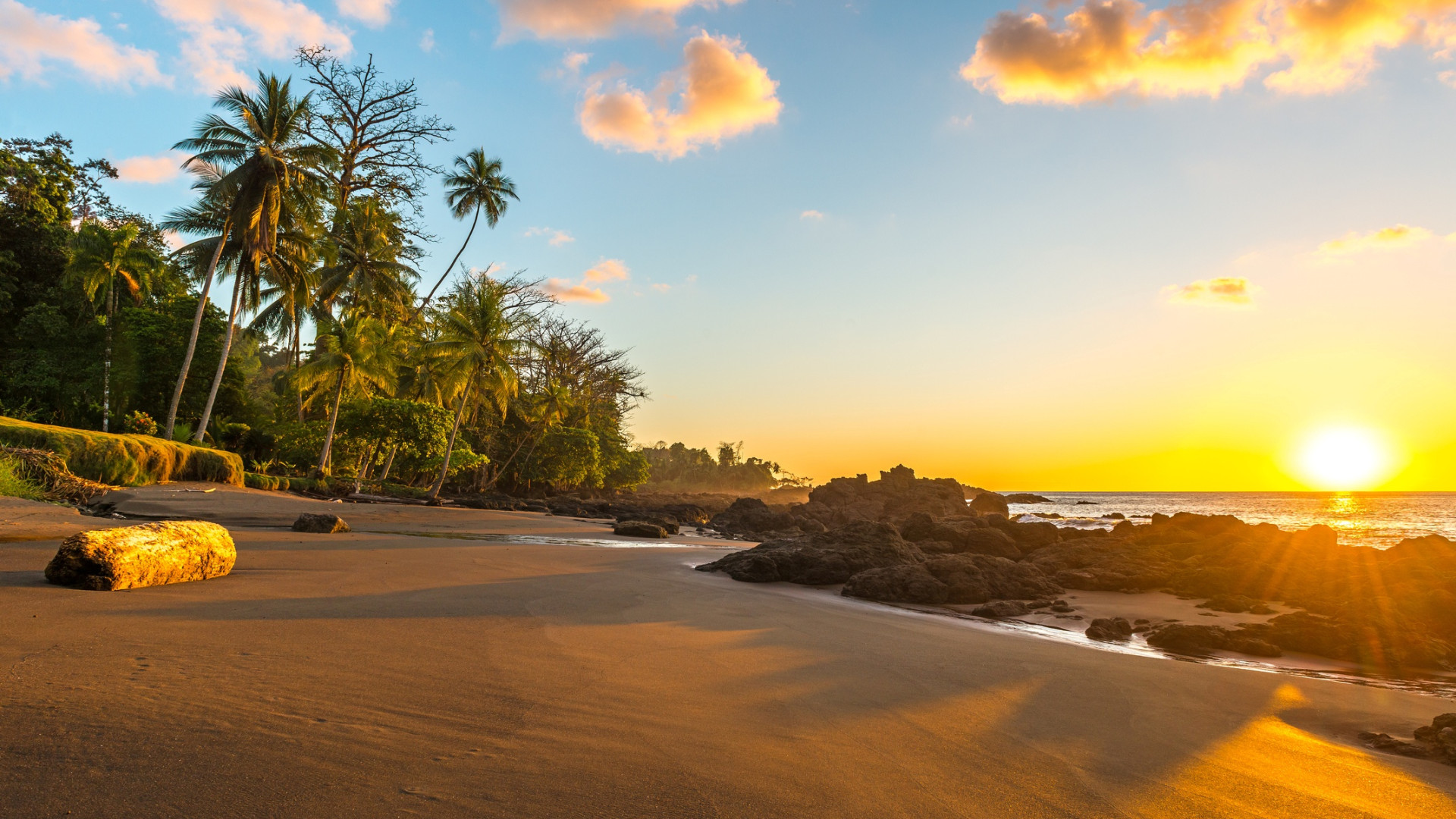 Beautiful sunset on a sandy beach fringed with palms