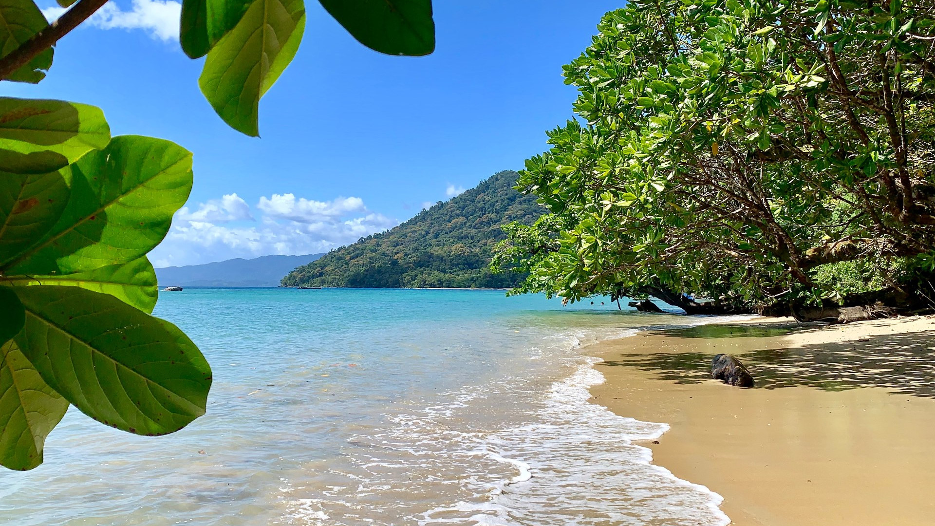 Madagaskar i sakte tempo