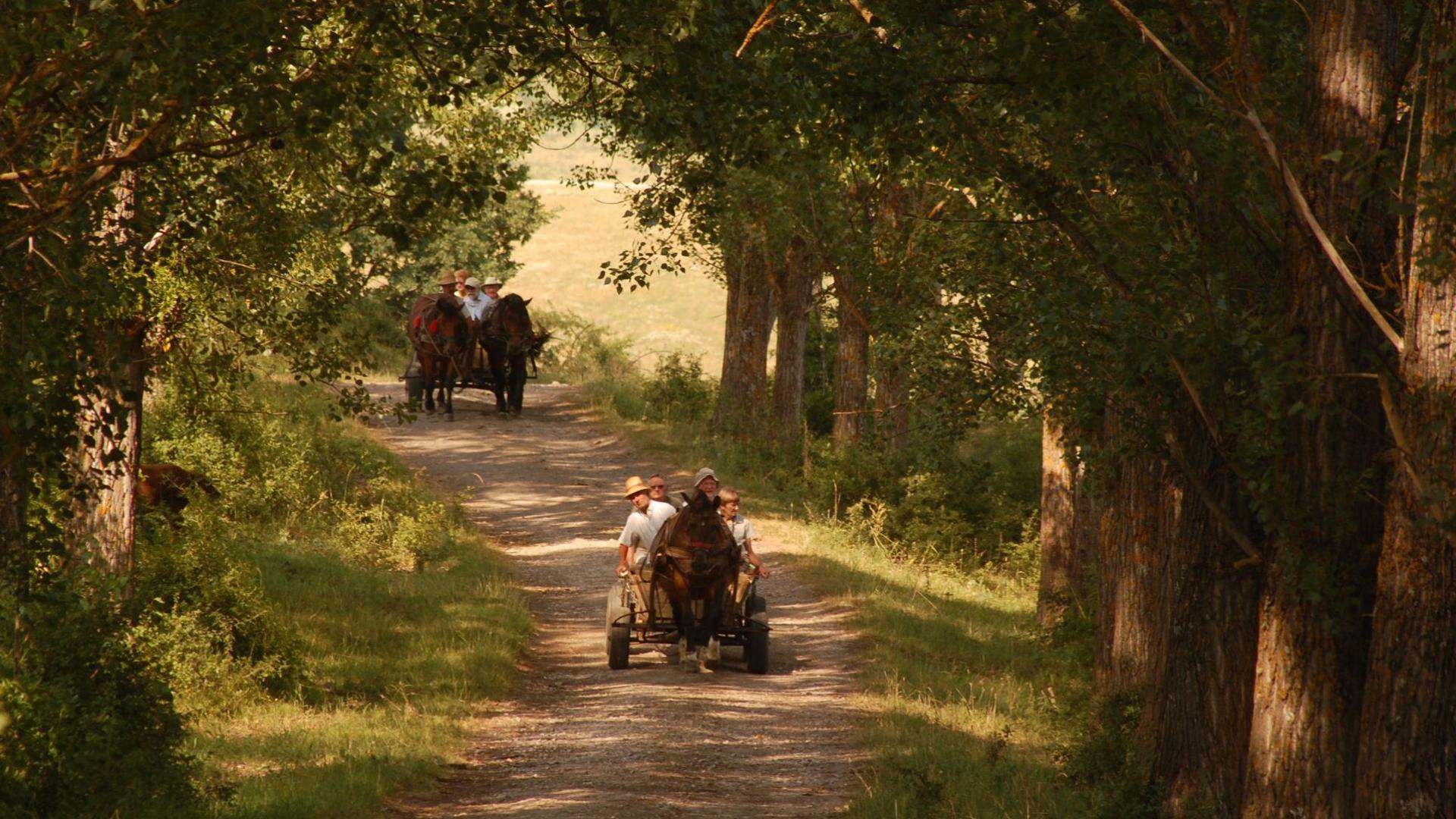 Maramures - Bucovina