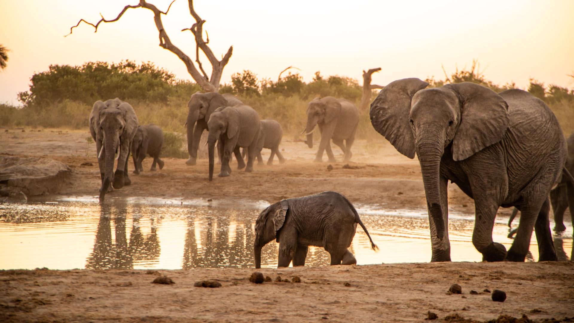 Makubi - safari for sjelen