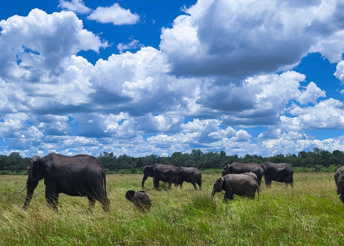 Kenya setter dype spor