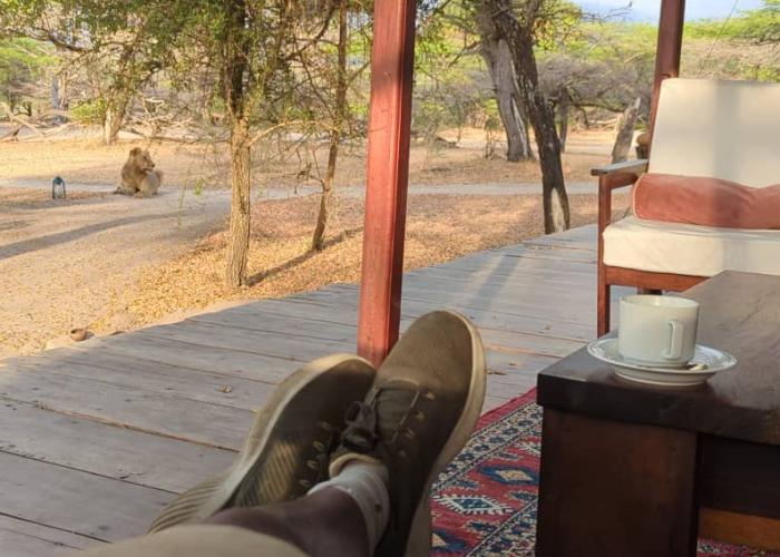 Forbindelser - Tanzania & Hadeland