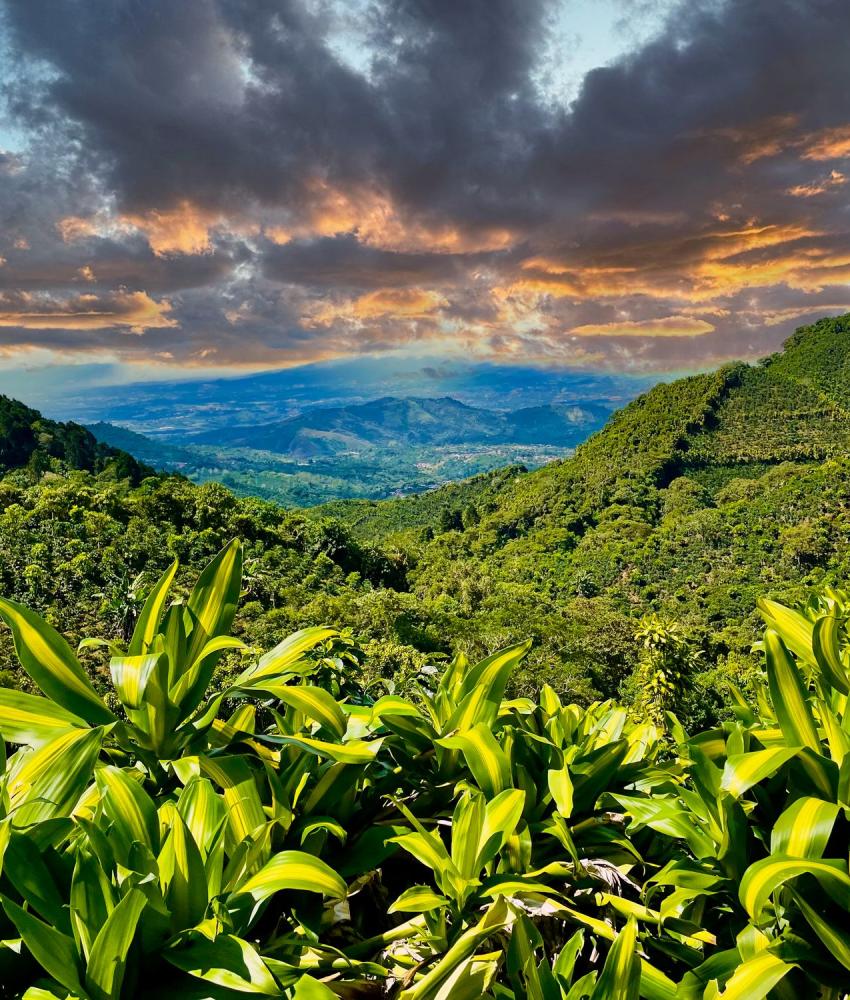 San Jose & Central Valley