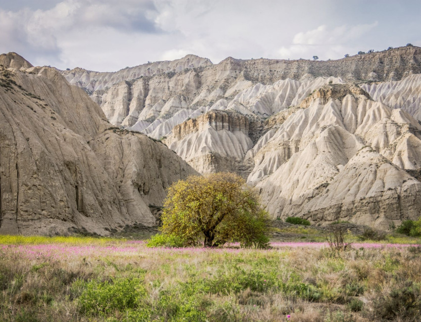 Vashlovani nasjonalpark