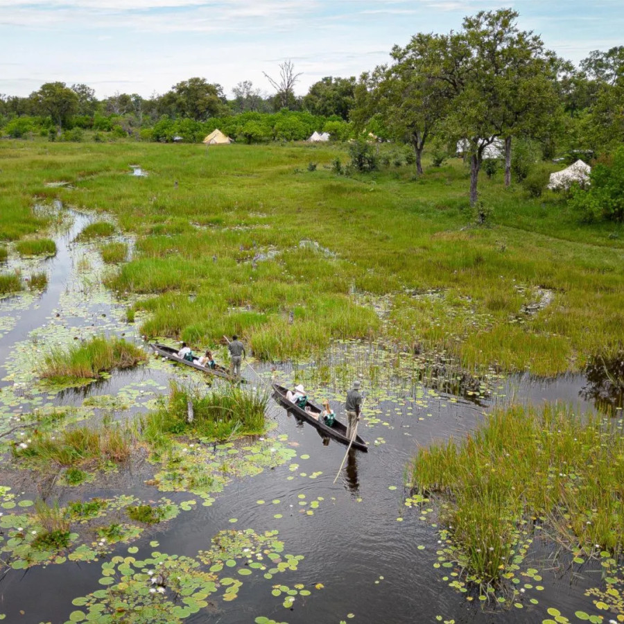 Luksus-safari i Botswana